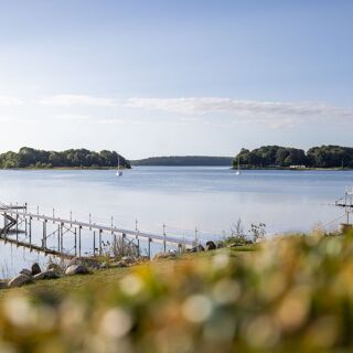 Pearl by Paul Proffitt - 7