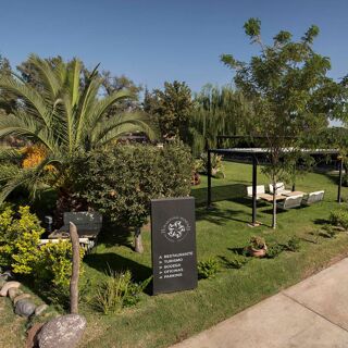 Martino Wines - Mendoza - 2