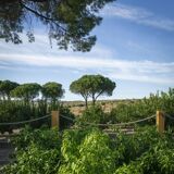 Afbeelding van de locatie