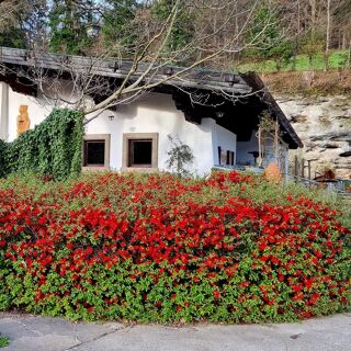 Kellerbauer - Bad Vigaun - 1