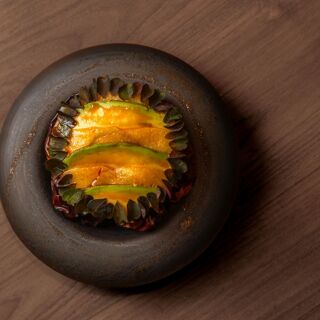 milpa - Osaka - 0