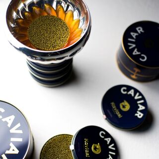 Alain Ducasse at Morpheus - 3