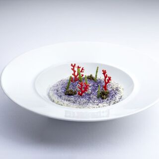 Osteria il Moro - 16