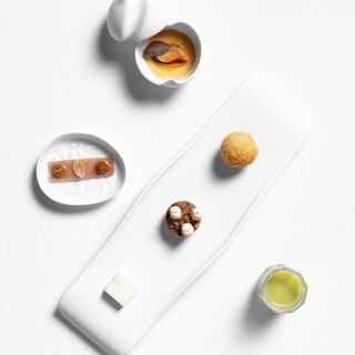 Terra Olea - 2