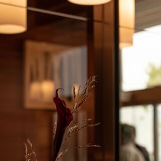 Blossom - 6