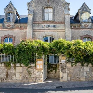 L'Épine - Azay-le-Rideau - 3