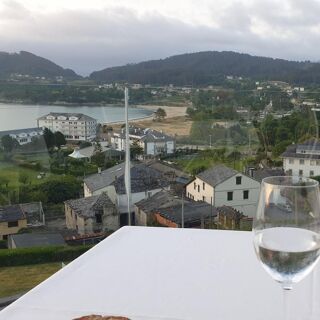 Nito - Viveiro - 4