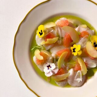Vin Polisson - Sherbrooke - 5