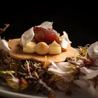 Fishølogy - Barcelona - 22