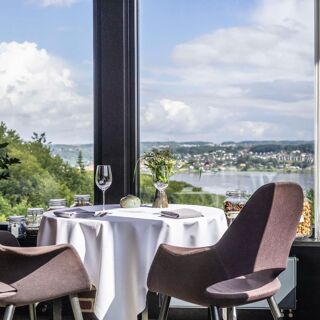 Treetop - Vejle - 12