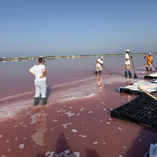 Maison Soubeiran - 1