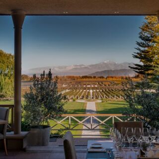 La Vid - Bodega Norton - 1