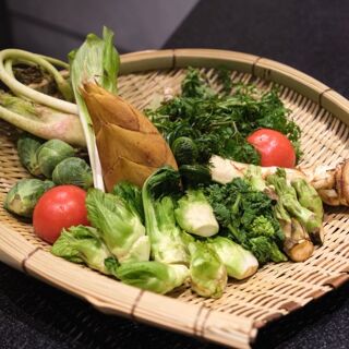 Kitashinchi Yumiba Shinnosuke - 3