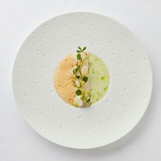 Cocotte - 9