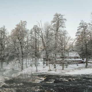 Knystaforsen - 6