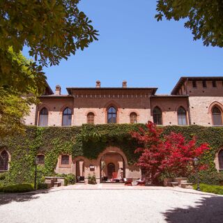 Dama - Cervesina - 6