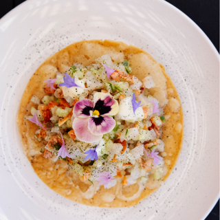 Conchas de Piedra - 0