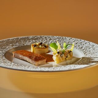 Il Gallo d'Oro - 16