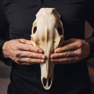 Hermann's Jagdstube - 1