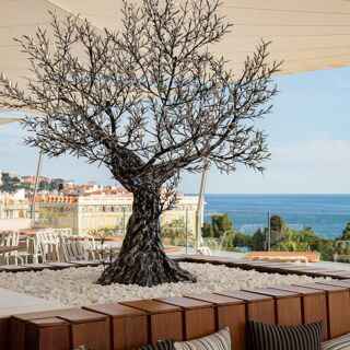 Taulissa - Nizza - 5