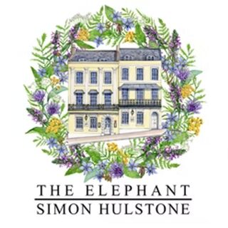Elephant - 1