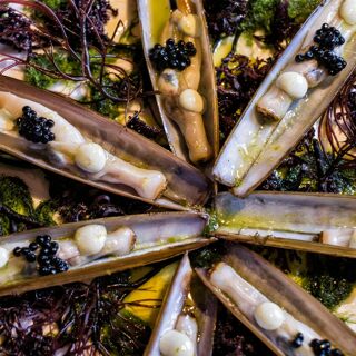 Divino Steak House - 2