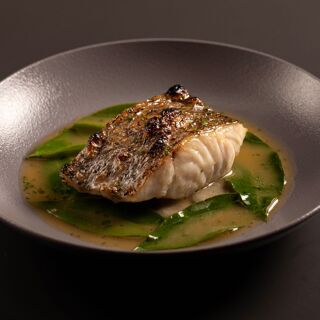 Kotori - São Paulo - 10