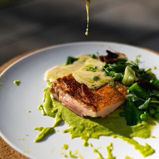 Kohout NA VÍNĚ - 4