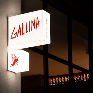 Gallina - 1