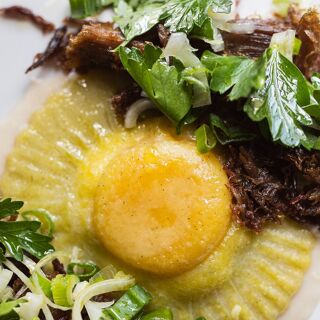 The Establishment - 5