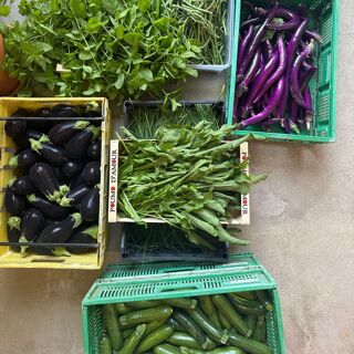 Les Minots de la Garrigue - 2