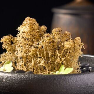 Wuwei Natural Food - Xiamen - 7