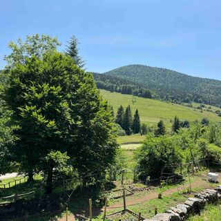Ferme de la Besse - Usclades-et-Rieutord - 2