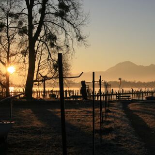Zum Fischer am See - 9