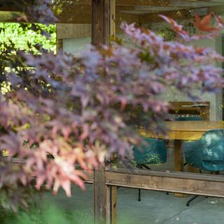 RAU nature-based cuisine - 8