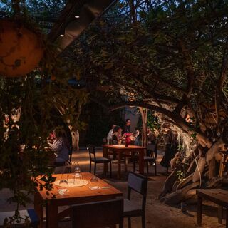 Alfonsina - Oaxaca - 2