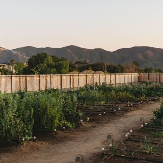 Olivea Farm to Table - Ensenada - 3