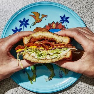 Turkey and the Wolf - 4