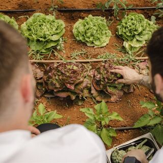 Meneghetti - Bale - 4