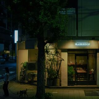 Macauda - 3