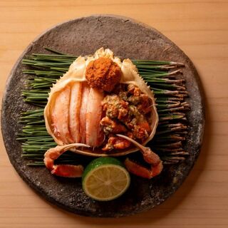Sushi Hare - 7