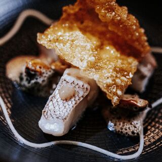 Le Puits Saint Jacques - 10