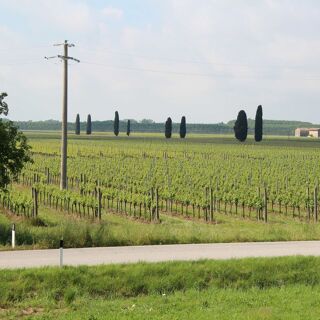 Al Paradiso - Paradiso di Pocenia - 2