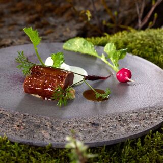Moss - 6