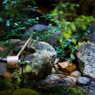 Gion Matayoshi - Kyoto - 3