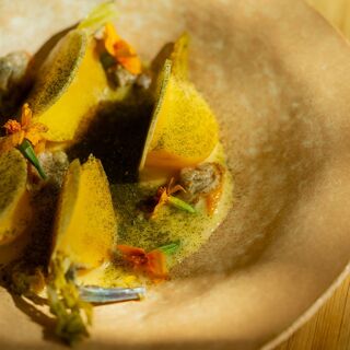 Saisons - Cave à Manger - 7