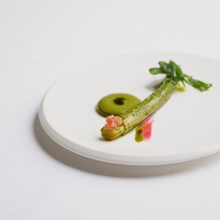 Zostera - Parigi - 4