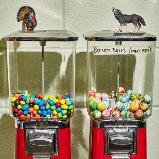 Turkey and the Wolf - 2