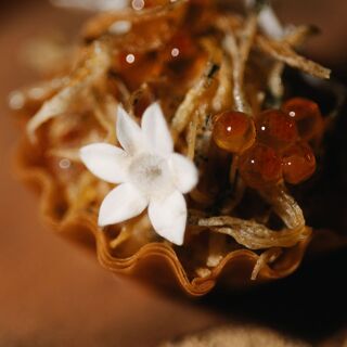 Gastro by Elemento - 16