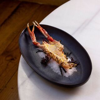 Fismuler - Madrid - 2
